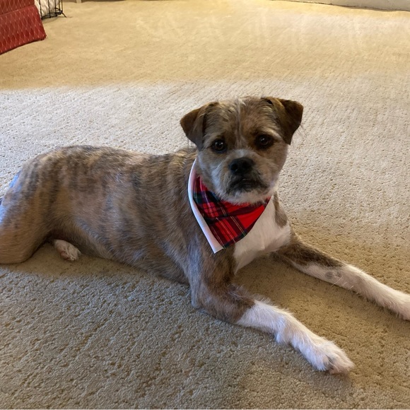 Meet your Posher, Barb - Picture 1 of 2